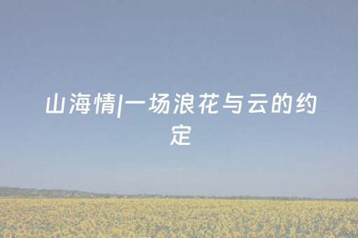 山海情|一场浪花与云的约定