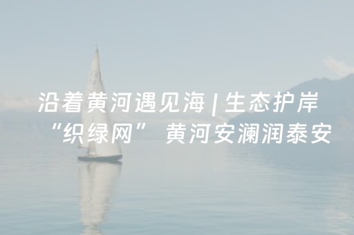 沿着黄河遇见海 | 生态护岸“织绿网” 黄河安澜润泰安