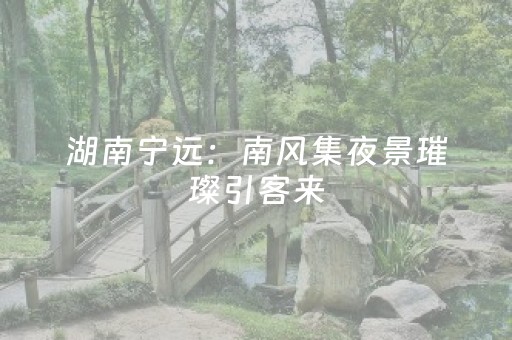 湖南宁远：南风集夜景璀璨引客来（组图）