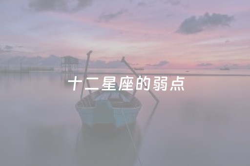 十二星座的弱点（十二星座的弱点和爱情）