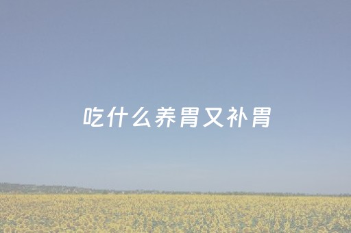 吃什么养胃又补胃（早上吃什么养胃又补胃）