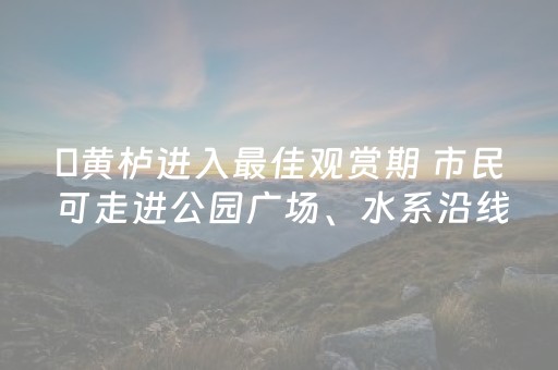 ​黄栌进入最佳观赏期 市民可走进公园广场、水系沿线欣赏美景