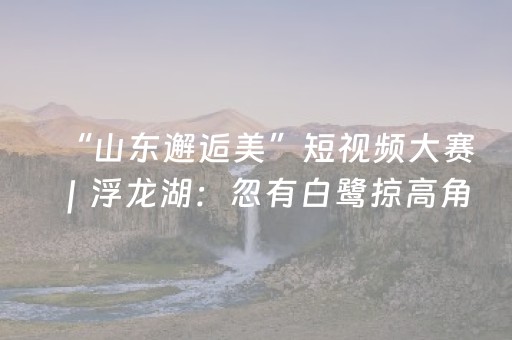 “山东邂逅美”短视频大赛｜浮龙湖：忽有白鹭掠高角 翅尖轻点破镜面