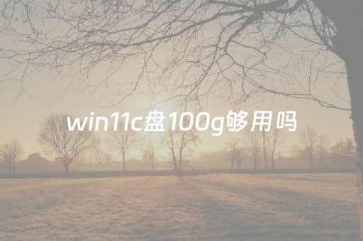 win11c盘100g够用吗（win11c盘满了）