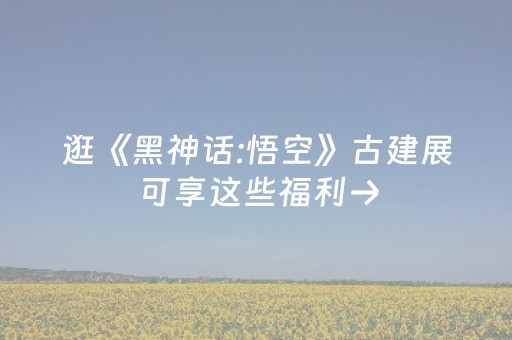 逛《黑神话:悟空》古建展可享这些福利→