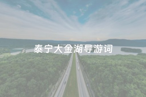 泰宁大金湖导游词（泰宁大金湖景区）
