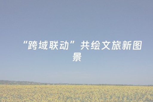 “跨域联动”共绘文旅新图景