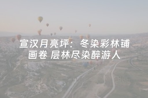 宣汉月亮坪：冬染彩林铺画卷 层林尽染醉游人