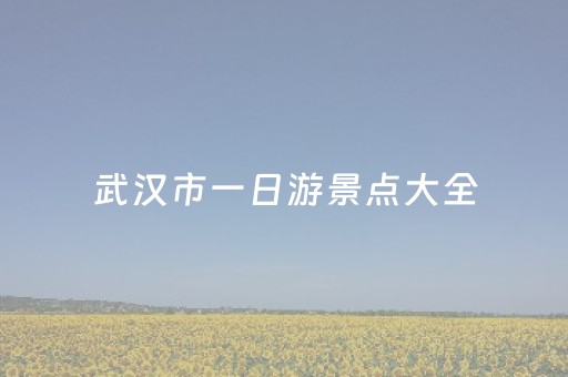 武汉市一日游景点大全（武汉一日游景点排行榜）