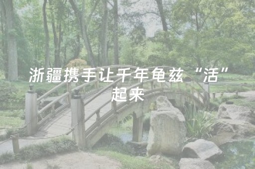 浙疆携手让千年龟兹“活”起来