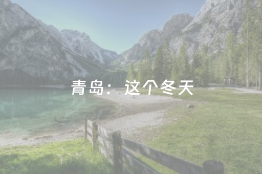 青岛：这个冬天，跟随观“鸥”专属路线，开启一段“鸥”遇旅程