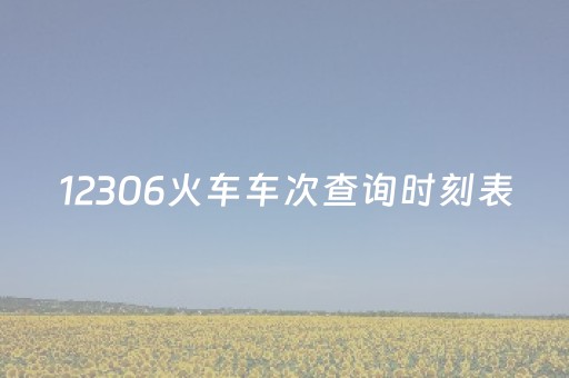 12306火车车次查询时刻表（火车车次票查询12306）
