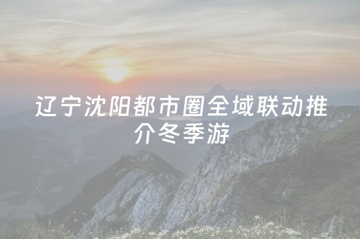 辽宁沈阳都市圈全域联动推介冬季游