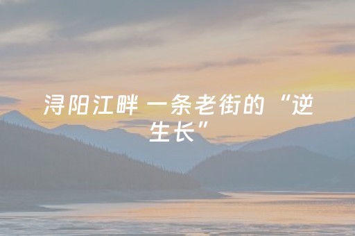 浔阳江畔 一条老街的“逆生长”