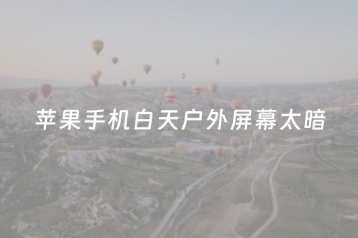 苹果手机白天户外屏幕太暗（苹果手机白天户外屏幕太暗怎么调）