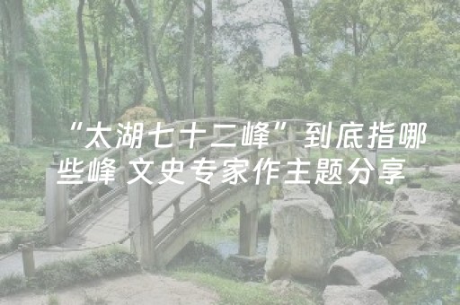 “太湖七十二峰”到底指哪些峰 文史专家作主题分享