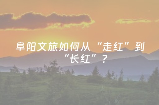 阜阳文旅如何从“走红”到“长红”？