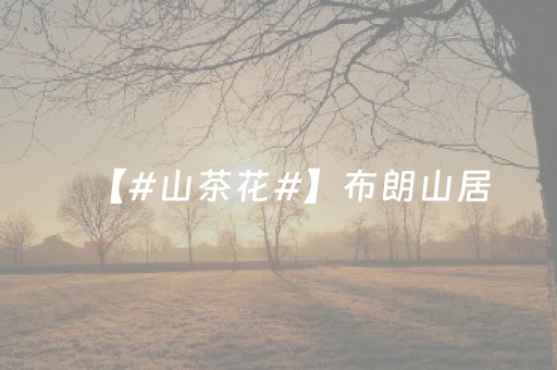 【#山茶花#】布朗山居