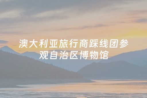 澳大利亚旅行商踩线团参观自治区博物馆