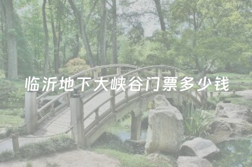 临沂地下大峡谷门票多少钱（临沂地下大峡谷门票优惠政策）