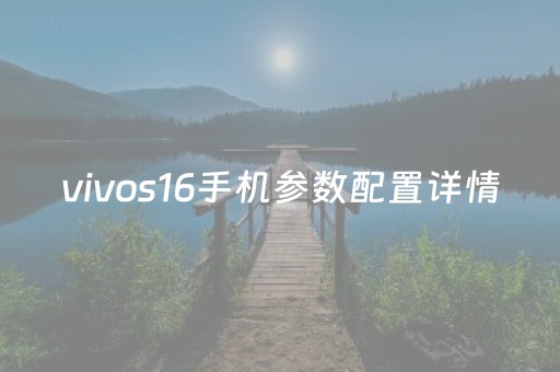 vivos16手机参数配置详情（vivos16加256价格参数）