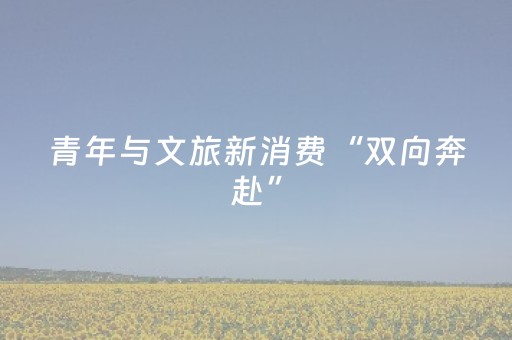 青年与文旅新消费“双向奔赴”