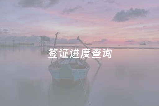 签证进度查询（澳门劳工签证进度查询）