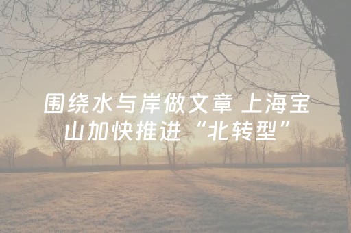 围绕水与岸做文章 上海宝山加快推进“北转型”