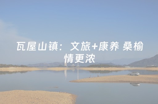 瓦屋山镇：文旅+康养 桑榆情更浓