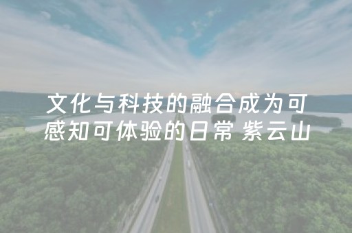 文化与科技的融合成为可感知可体验的日常 紫云山文创园:数字赋能铸就产业新高地