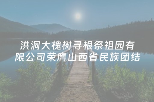 洪洞大槐树寻根祭祖园有限公司荣膺山西省民族团结进步模范集体