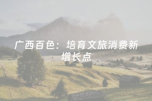 广西百色：培育文旅消费新增长点