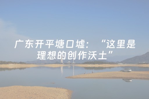 广东开平塘口墟：“这里是理想的创作沃土”