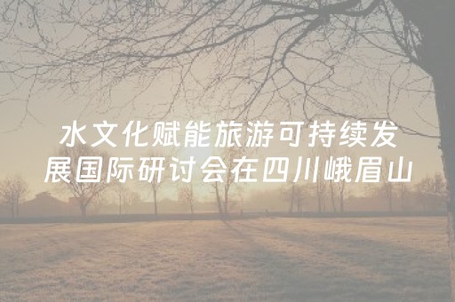 水文化赋能旅游可持续发展国际研讨会在四川峨眉山举行