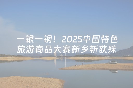 一银一铜！2025中国特色旅游商品大赛新乡斩获殊荣