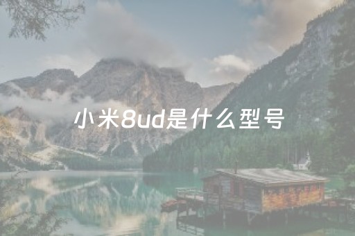 小米8ud是什么型号（小米8ud是什么版本）