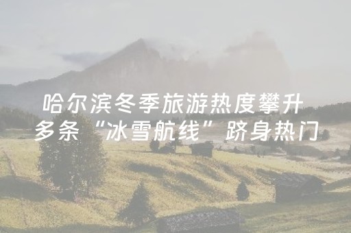 哈尔滨冬季旅游热度攀升 多条“冰雪航线”跻身热门