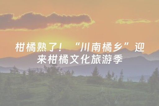柑橘熟了！“川南橘乡”迎来柑橘文化旅游季