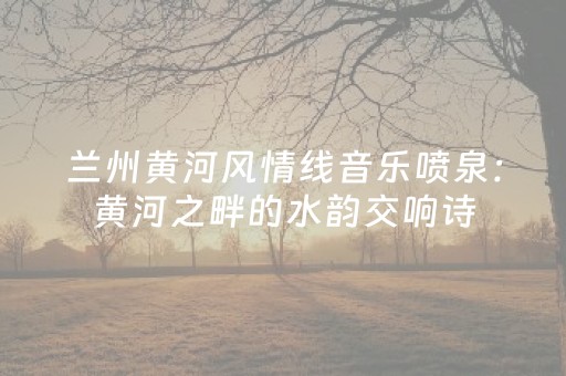 兰州黄河风情线音乐喷泉：黄河之畔的水韵交响诗