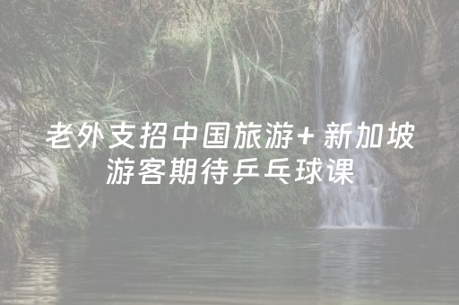 老外支招中国旅游+ 新加坡游客期待乒乓球课