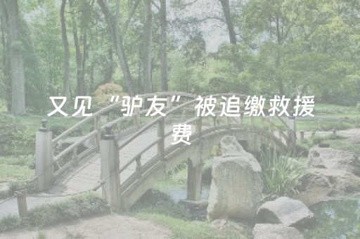 又见“驴友”被追缴救援费，乐见案例成惯例