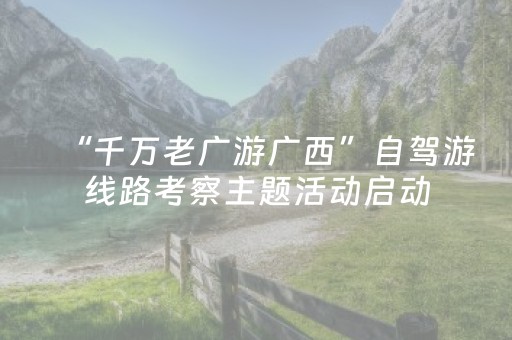 “千万老广游广西”自驾游线路考察主题活动启动