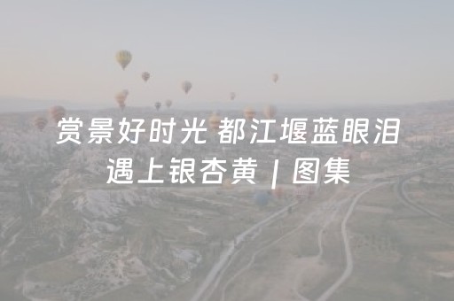 赏景好时光 都江堰蓝眼泪遇上银杏黄｜图集