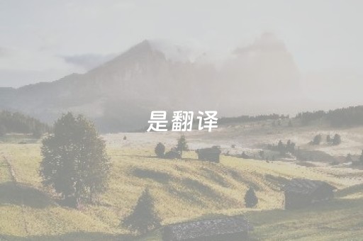 是翻译，更是文化使者