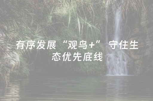 有序发展“观鸟+” 守住生态优先底线