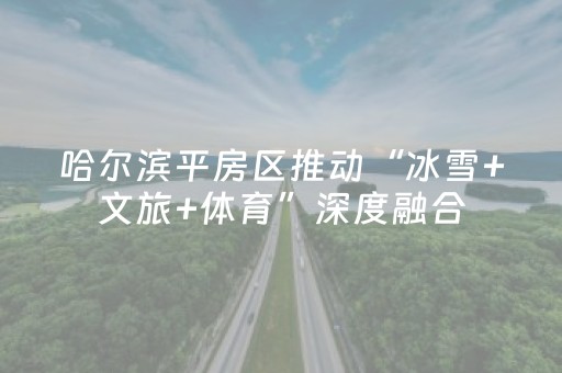 哈尔滨平房区推动“冰雪+文旅+体育”深度融合