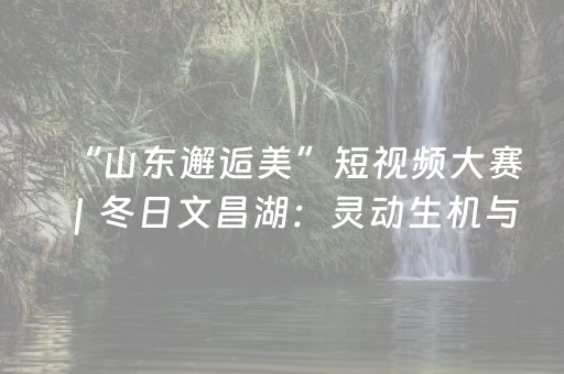 “山东邂逅美”短视频大赛｜冬日文昌湖：灵动生机与静谧相融