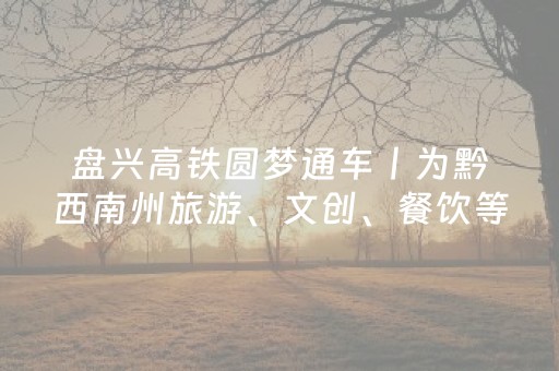 盘兴高铁圆梦通车丨为黔西南州旅游、文创、餐饮等产业发展注入活力