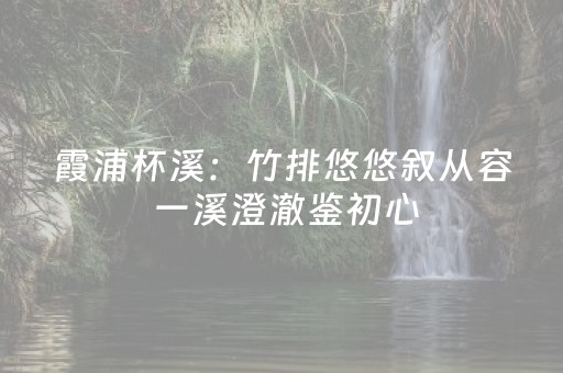 霞浦杯溪：竹排悠悠叙从容 一溪澄澈鉴初心