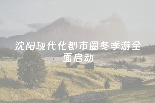 沈阳现代化都市圈冬季游全面启动